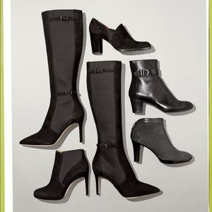 Via Spiga Cecil Point Toe Suede Boot